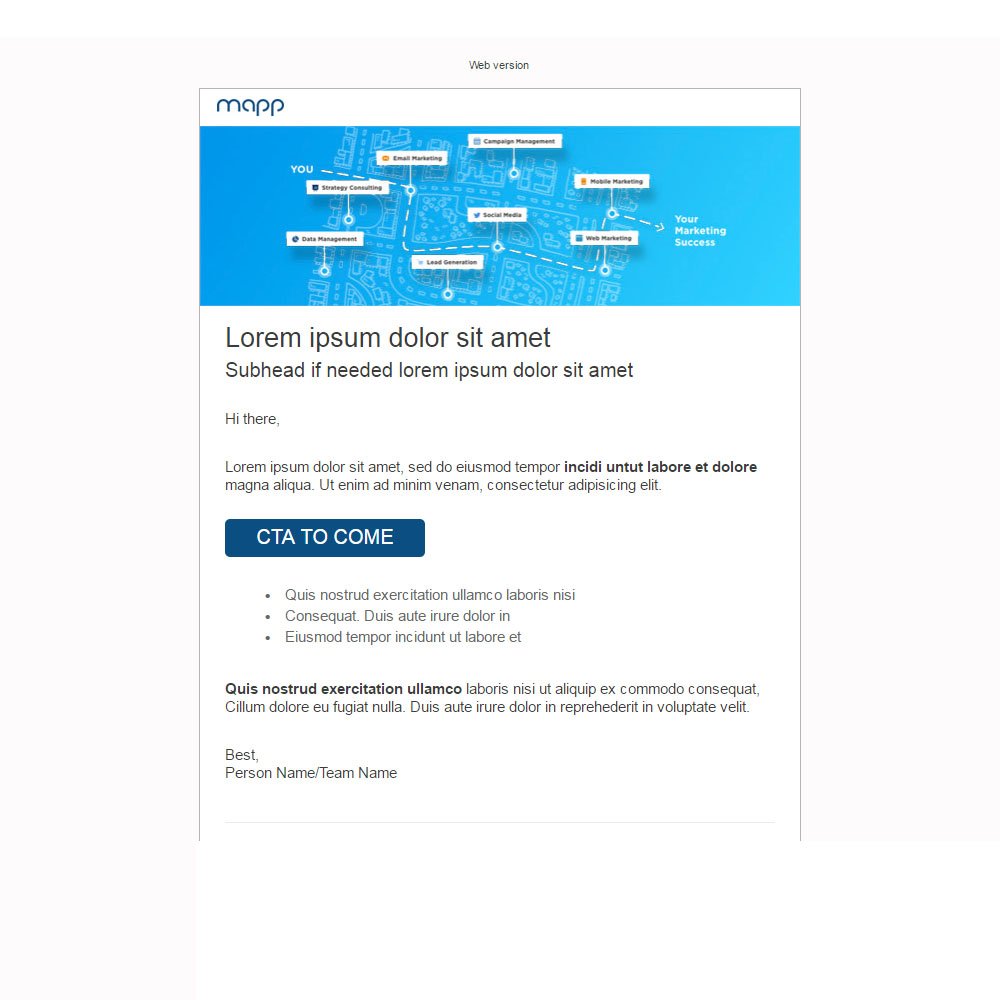 Mapp Digital Inc Template Preview